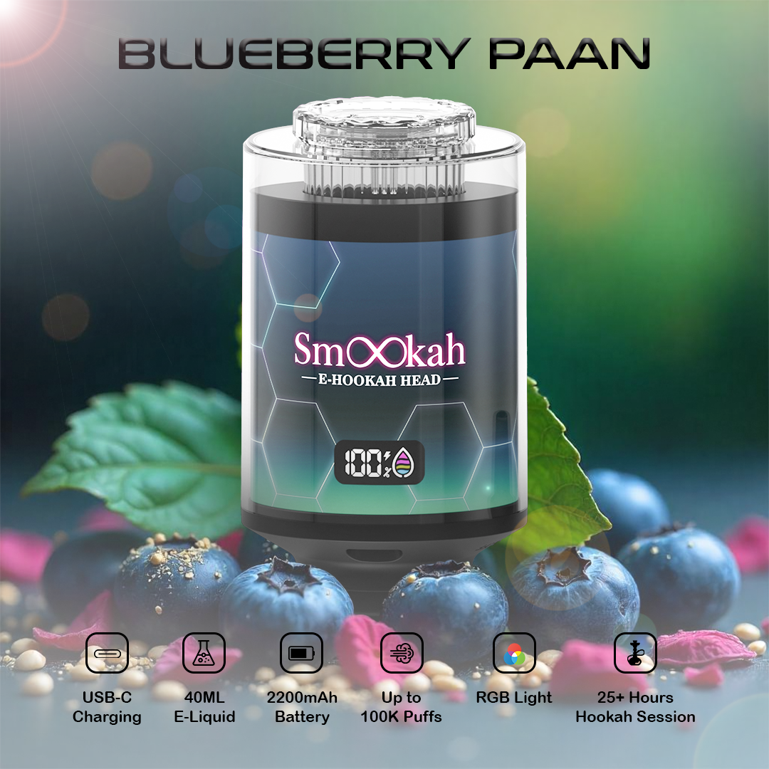 Smookah 2 in 1 hookah vape with blueberries and leaves on a colorful background